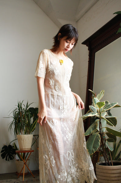 Edwardian Net Lace Filet Embroidered Dress