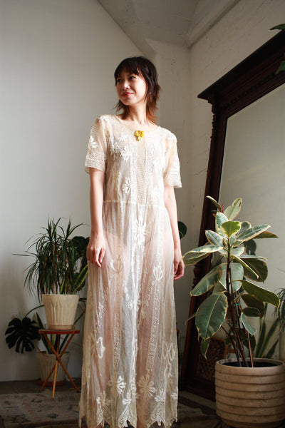Edwardian Net Lace Filet Embroidered Dress