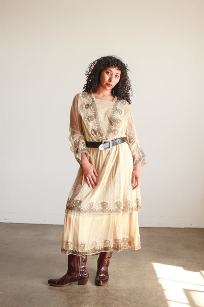 Edwardian Beige Net Lace Embroidered Tea Gown