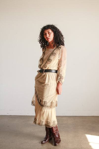 Edwardian Beige Net Lace Embroidered Tea Gown