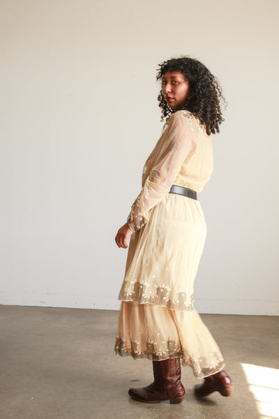 Edwardian Beige Net Lace Embroidered Tea Gown