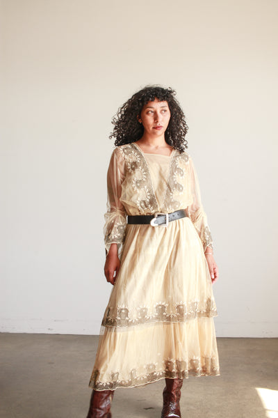 Edwardian Beige Net Lace Embroidered Tea Gown