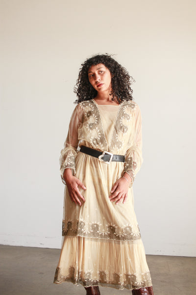 Edwardian Beige Net Lace Embroidered Tea Gown