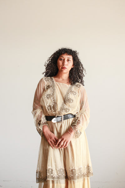 Edwardian Beige Net Lace Embroidered Tea Gown
