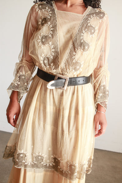 Edwardian Beige Net Lace Embroidered Tea Gown