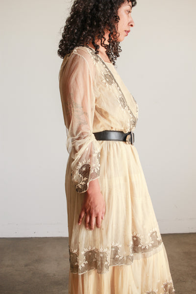 Edwardian Beige Net Lace Embroidered Tea Gown