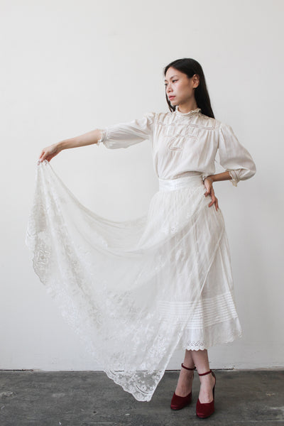 Edwardian Lace Embroidered Sheer Skirt