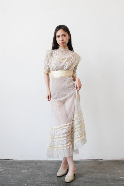 Edwardian Swissdot Sheer Net Lace Dress
