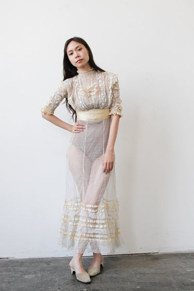 Edwardian Swissdot Sheer Net Lace Dress